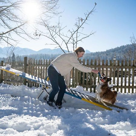 Almfrieden Hotel & Romantikchalet Ramsau am Dachstein Ngoại thất bức ảnh
