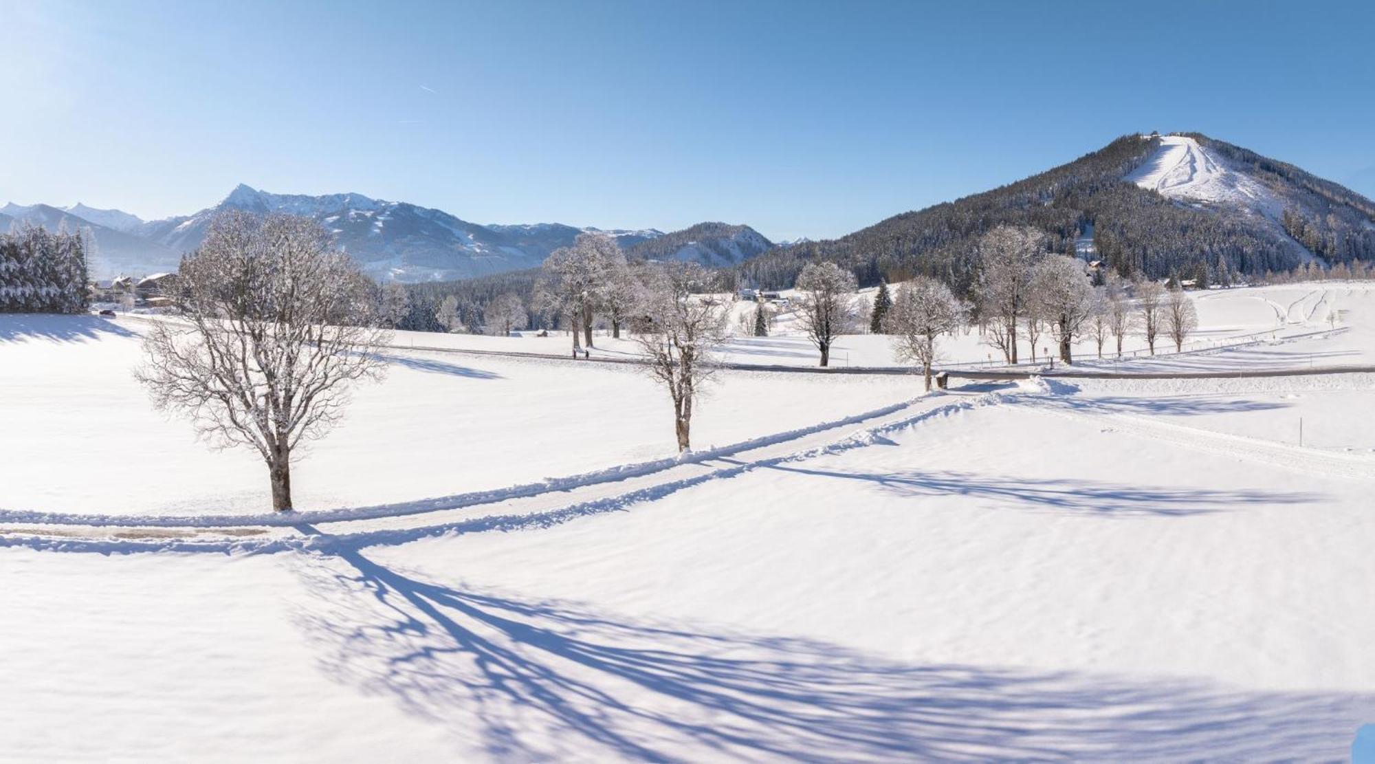 Almfrieden Hotel & Romantikchalet Ramsau am Dachstein Ngoại thất bức ảnh
